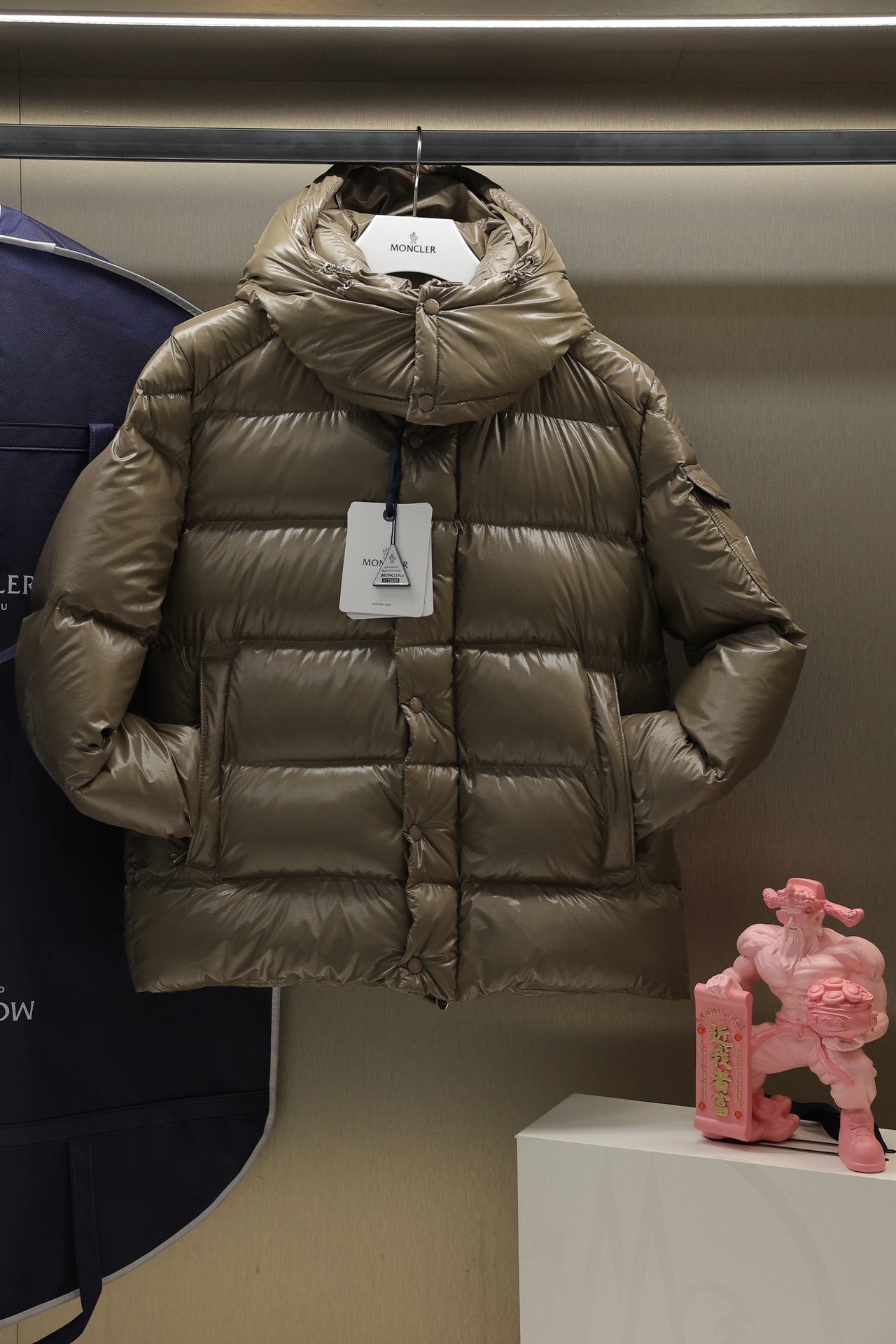 Moncler Down Jackets